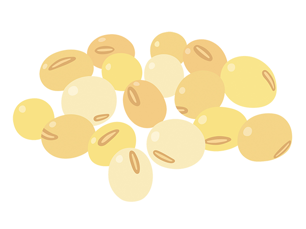 大豆食品