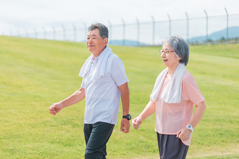 高齢者が筋肉を維持するために必要な習慣とは|安全で効果的な運動と栄養の知恵