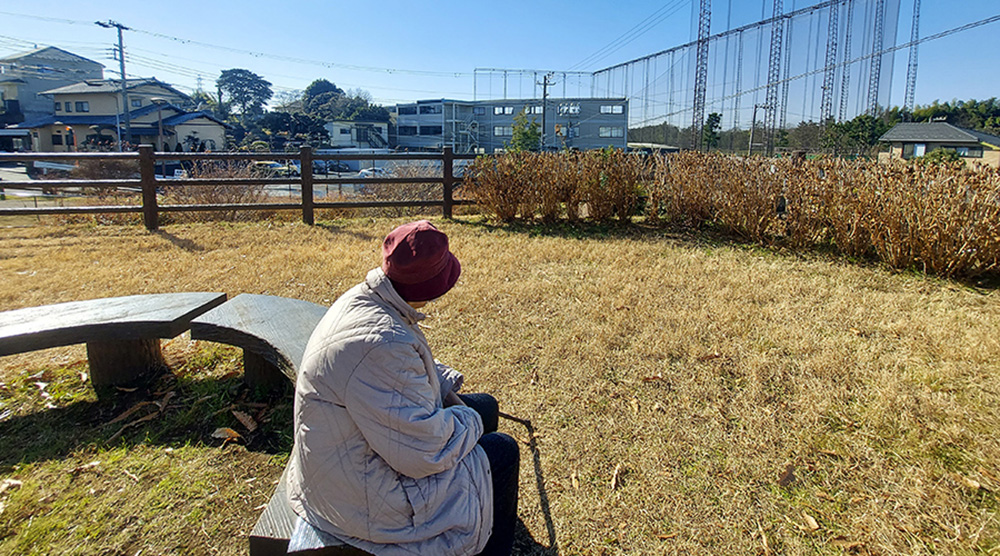 おひとりさまの老後資金はどれくらい必要?安心して暮らすための準備と対策